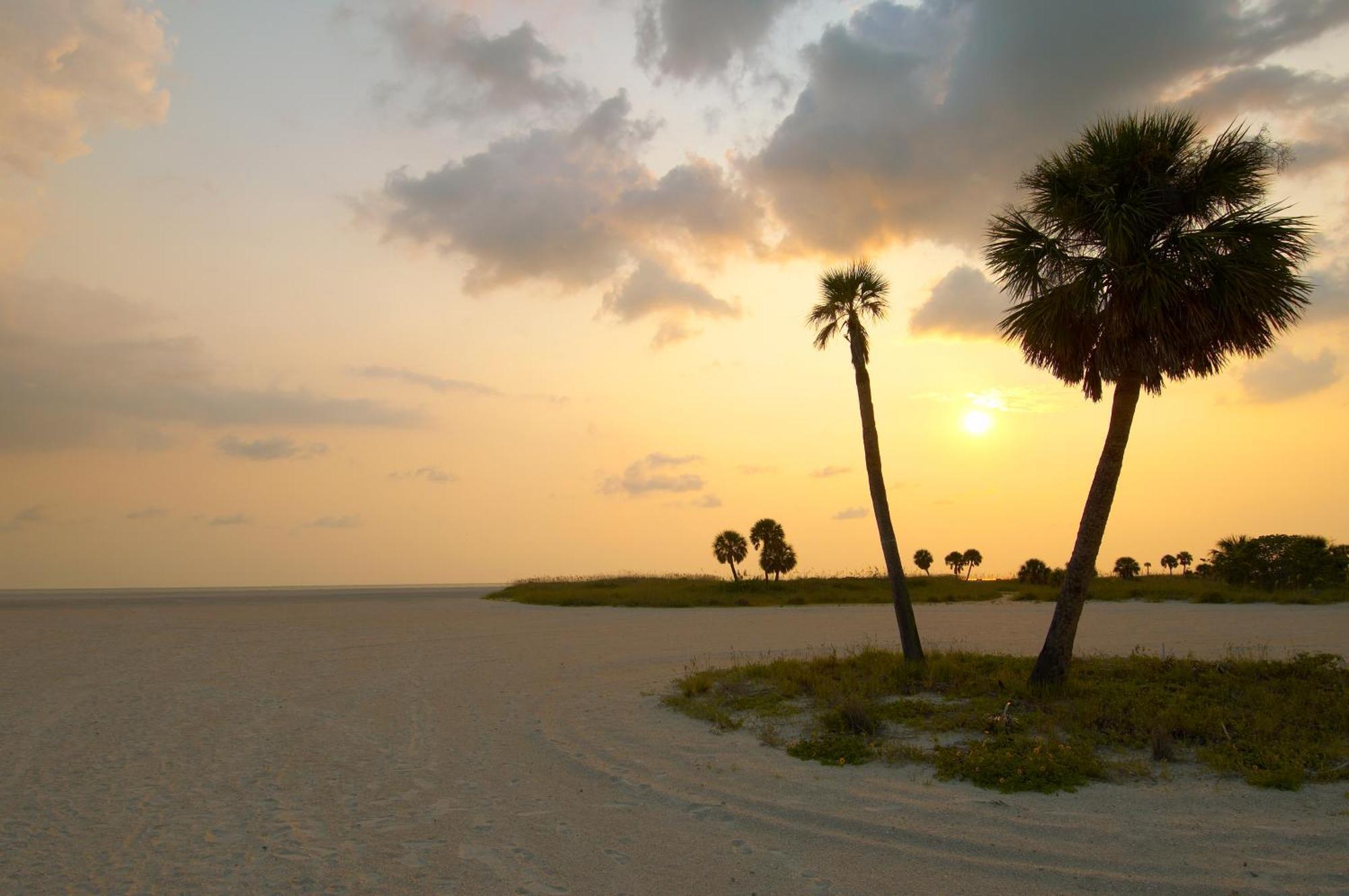 South Beach Oceanfront Resort St. Pete Beach Dış mekan fotoğraf